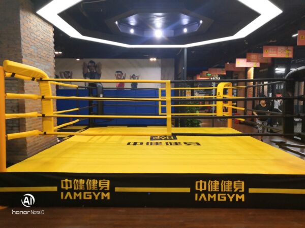 Jaulas de MMA Profesionales – The OutXider & CO - Image 5